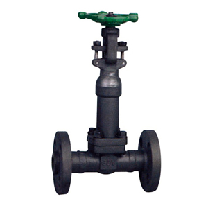 The corrugated pipe forged steel gate valve