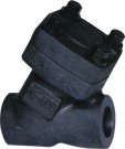 Type Forged Steel Check Valve 800LB